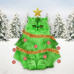 Tortie: Cat Christmas tree with tinsel baubles and a star