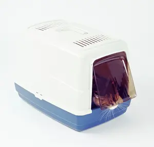 Tray: CAT - Covered litter tray with door