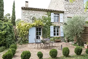 Olea: Cat on a garden table in summer, Provence, France