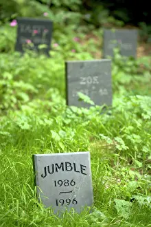 Gravestone: Cat - Gravestone of pet cat 'JumbleI in Pet Cemetery