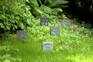 Gravestone: Cat - Gravestone of pet cat, 'JumbleI in Pet Cemetery