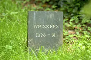 Gravestone: Cat - Gravestone of pet cat 'WhiskersI in Pet Cemetery