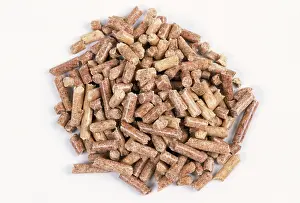 Toileting: Cat - hard pelted Cat litter