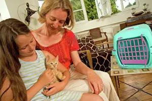 Choosing: Cat - kitten being held by girl having arrived at new home