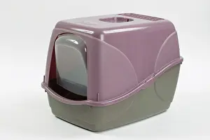 Tray: Cat - Litter Tray