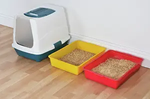 Tray: Cat - three litter trays in a row