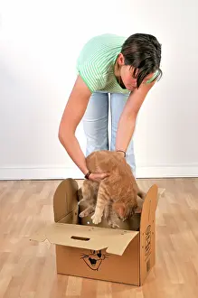 Carriers: Cat - being lowered into top loading basket