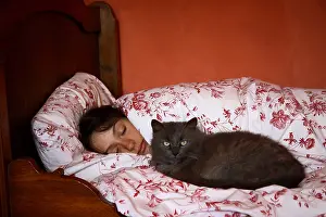 Blacks: Cat lying on a bed and a sleeping young