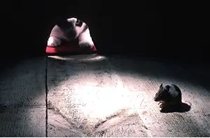 Holes: CAT and MOUSE - watching mouse through hole