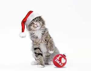 Baubles: Cat