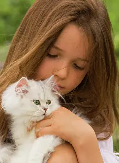 Chinchillas: Cat - Persian Chinchilla being cuddled by young girl
