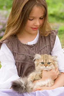 Cuddled: Cat - Persian Golden Shaded being cuddled by young girl