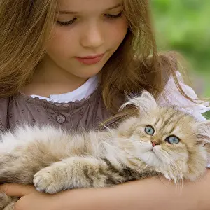 Cuddled: Cat - Persian Golden Shaded being cuddled by young girl