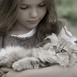 Cuddled: Cat - Persian Golden Shaded being cuddled by young girl