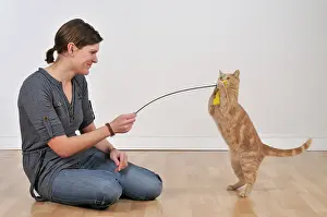 Duster: Cat - playing with owner & feather duster