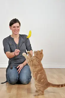Duster: Cat - playing with owner & feather duster