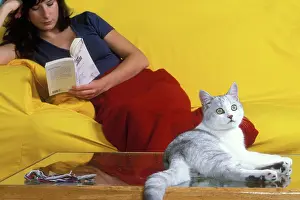Reading: Cat - resting on table with owner on sofa reading