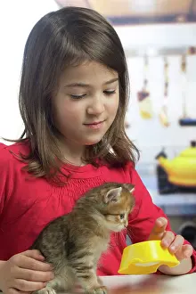 Bowls: Cat