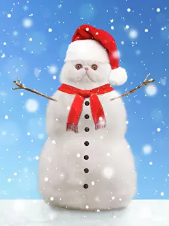 Scarf: Cat - snowman wearing a red Christmas Santa hat and scarf