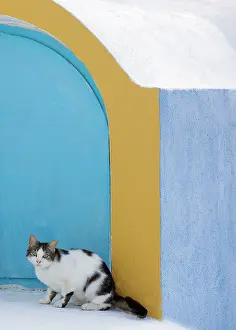 Stray: Cat - Stray