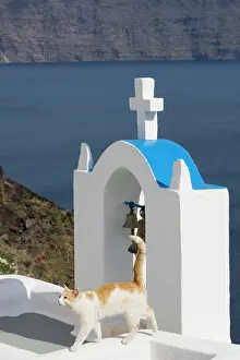Stray: Cat - Stray
