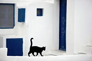 Stray: Cat - Stray