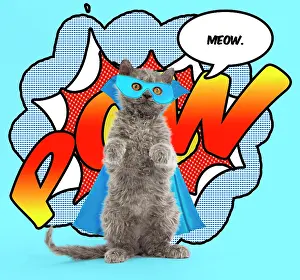 Mask: Cat
