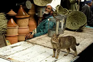 Stalls: Cat - Tabby cat by market stalls & people