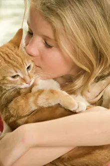 Cuddled: Cat - tabby kitten being cuddled by girl