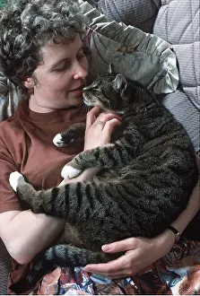 Stroking: CAT - Tabby, with owner