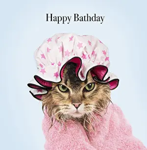 Miserable: CAT. Tiffanie ( black tipped ) wet wrapped in a