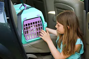 Carriers: Cat - being transported in cat basket / carrier