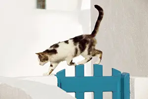 Stray: Cat - walking over gate - Stray