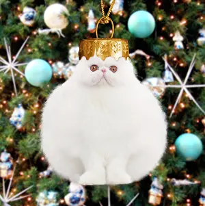 Weird: Cat - White persian Christmas Bauble Digital Manipulation: