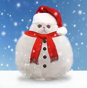 Scarf: Cat - White persian - snowman with scarf and buttons