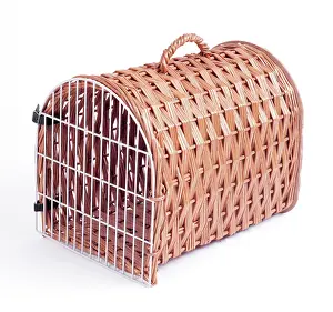 Carriers: CAT - Wicker carrying basket