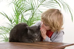 Whispering: Cat - young boy whispering in grey cat's ear