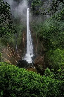 Rican: Catarata Del Toro Waterfall