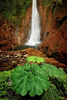 Rica: Catarata Del Toro Waterfall, in the mountains of