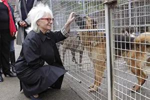 Prevention: Catherine Lara visiting the SPA refuge at Plaisir Yvelines