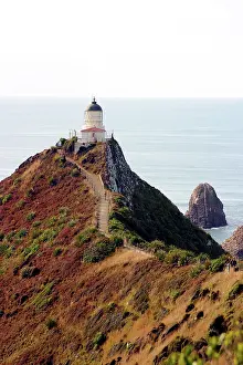 Hilltop: Catlins, Otago, Nugget Point, New Zealand
