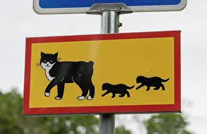 Humour: Cats crossing notice, Uppsala. Sweden
