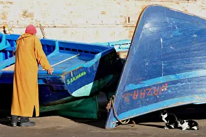 Ports: Cats and fishing boats port of Essaouira Morocco
