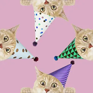 300719: Cats, wearing Birthday party hats looking surprised