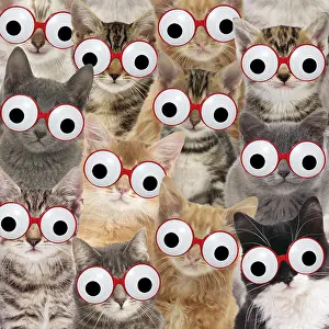 Comedy: Cats wearing comedy glasses