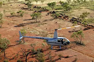 Trucks: Cattle mustering with helicopter - aerial photograph.In