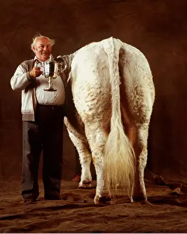Farmers: CATTLE - Prize winning Charolais bull with owner