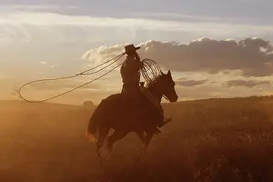 Lasso: Cattleman with Quarter / Paint Horse