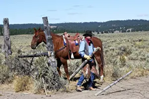 Putting: Cattleman with Quarter / Paint Horse - putting up fence