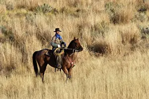 Ranches: Cattleman riding Quarter / Paint Horse